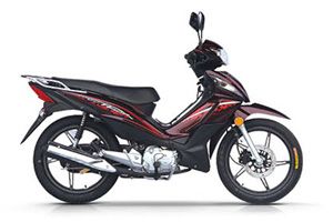  SJ110-H