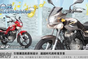SY125-29��Ʒ�ֲ�(6��)