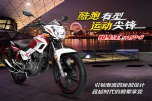SY150-9B��Ʒ�ֲ�(6��)