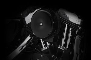 2015 FORTY-EIGHT&reg;�������(6��)