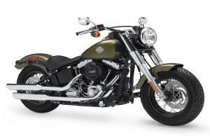 2015 SOFTAIL SLIM&reg;�������(7��)