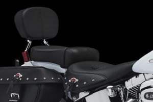Heritage Softail&reg; Classic�������(15��)