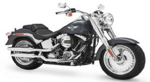 Fat Boy&reg; Special�������(20��)
