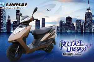 LH100T-16��Ʒ�ֲ�(4��)