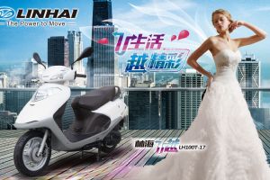 LH100T-17��Ʒ�ֲ�(4��)