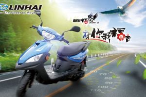 LH100T-15��Ʒ�ֲ�(4��)