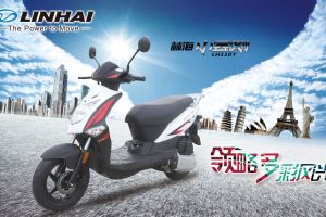 LH110T��Ʒ�ֲ�(4��)