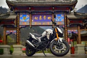 LF200-10R�⾰ͼƬ(5��)