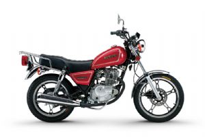 GN125-2�������(5��)
