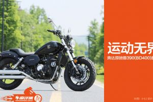BD400����ԭ���� BD400����(42��)