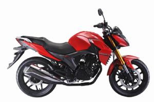 LF200-10R����ͼƬ(1��)