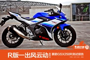 GSX250R������ľGSX250R���Ա���(64��)