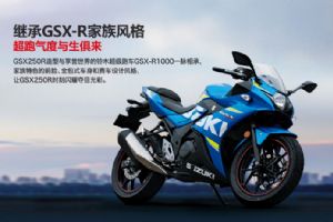 GSX250R��Ʒ�ֲ�(12��)