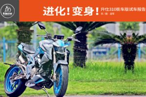310���� ���� ս���ײ�����310�ֳ���(39��)