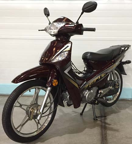 ���� ZS110-9E