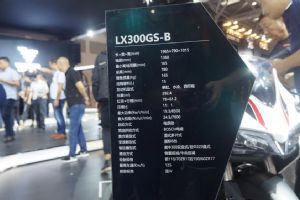 300RR LX300GS-Bֱ��Ħ���᣺�޼�300RR(6��)