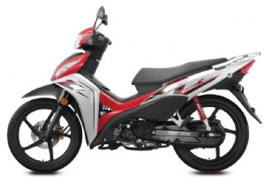 ����110S SDH110-22������ͼ(16��)