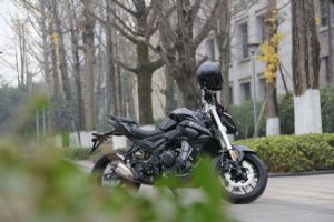 LX500�������� �޼�500Rʵ��(3��)