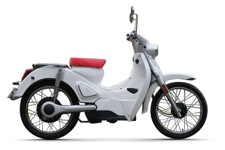 ɭ�� B1(2019&nbsp���ʰ�)
