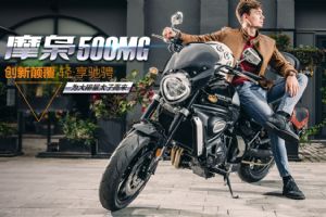 500MG ZL500��Ʒ����(11��)