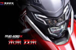 400X ZF400GY�������(13��)