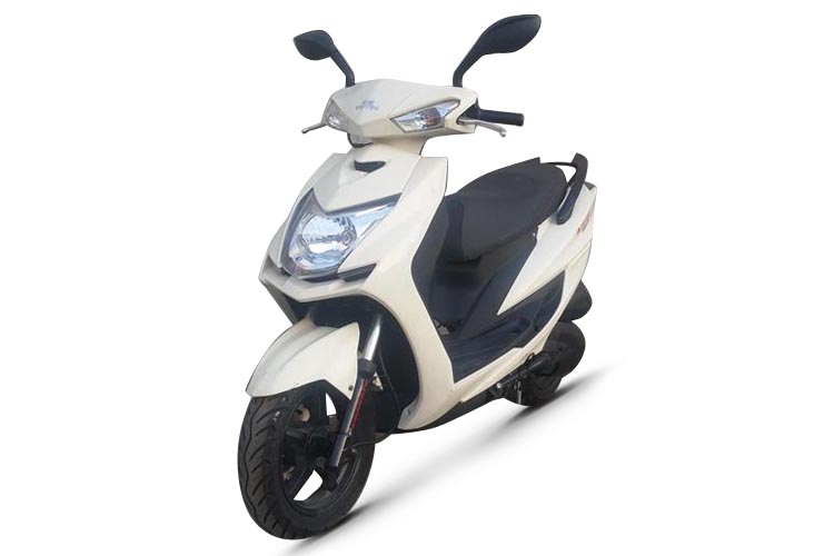 ��ӥ  TY50QT-23D 