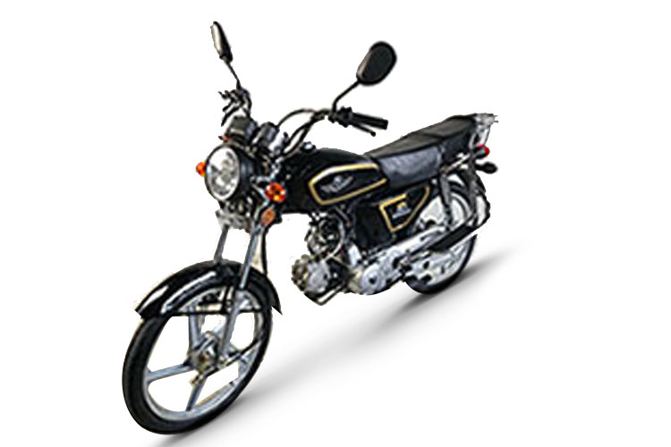��� ZF110-5