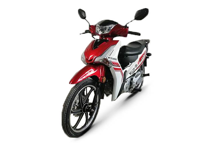 ���� WY110-2D