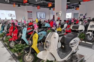 �������ȷ桷ר���̼Ѻ��Ϻ���������������