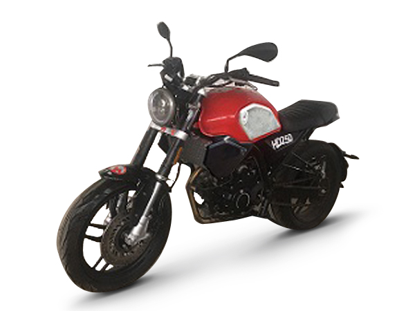�鶼  HD250 