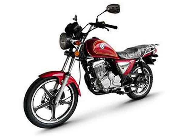������ľ QS150-6