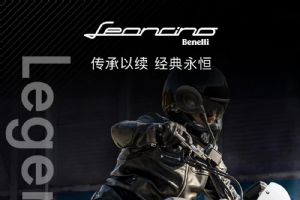 ��ʨLeoncino 800�������� ��Ѫ��� Leoncino 800(6��)