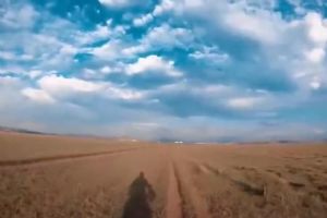 ������ȭ-��һ�ӽǣ��۳Ҳ�ԭ