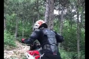 ������ȭ����ɽԽ��
