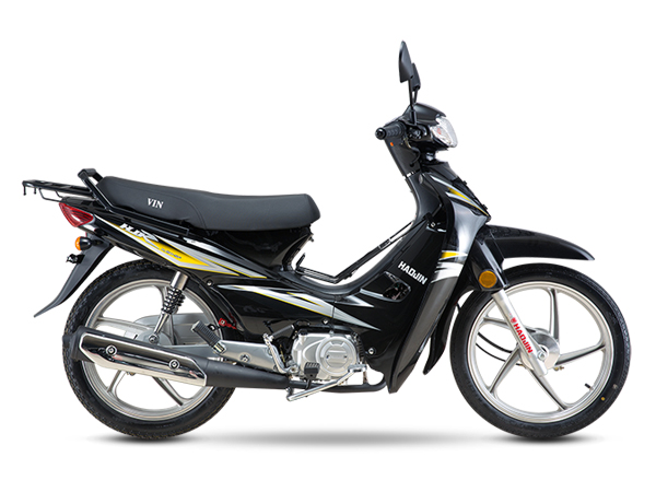 ���� ���� HJ110-5F 2020�� 