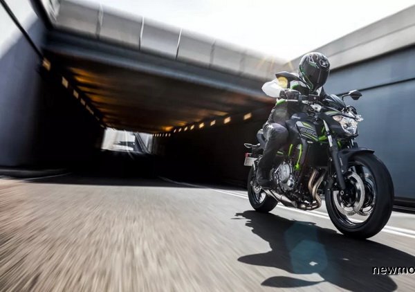 ���⵫��Ȼ����2019���Z650