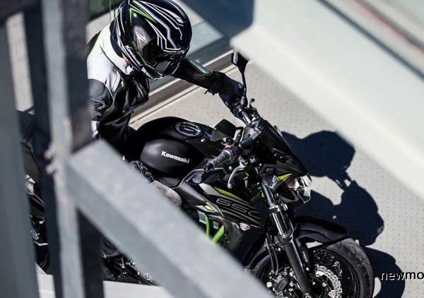 ���⵫��Ȼ����2019���Z650