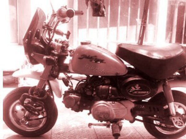 ��ս�ߡ���ǰ��������Ϊ�����ѡ��